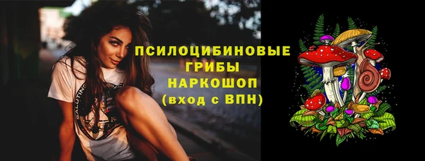 PSILOCYBIN Алексин
