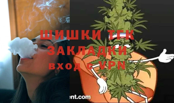 сатива Алексеевка